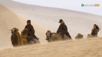 愿你人生无遗憾 伴你大漠风沙路