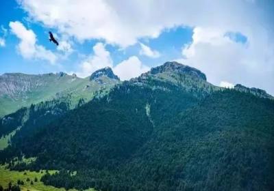 草长莺飞里，我们甘南大草原里相见吧~